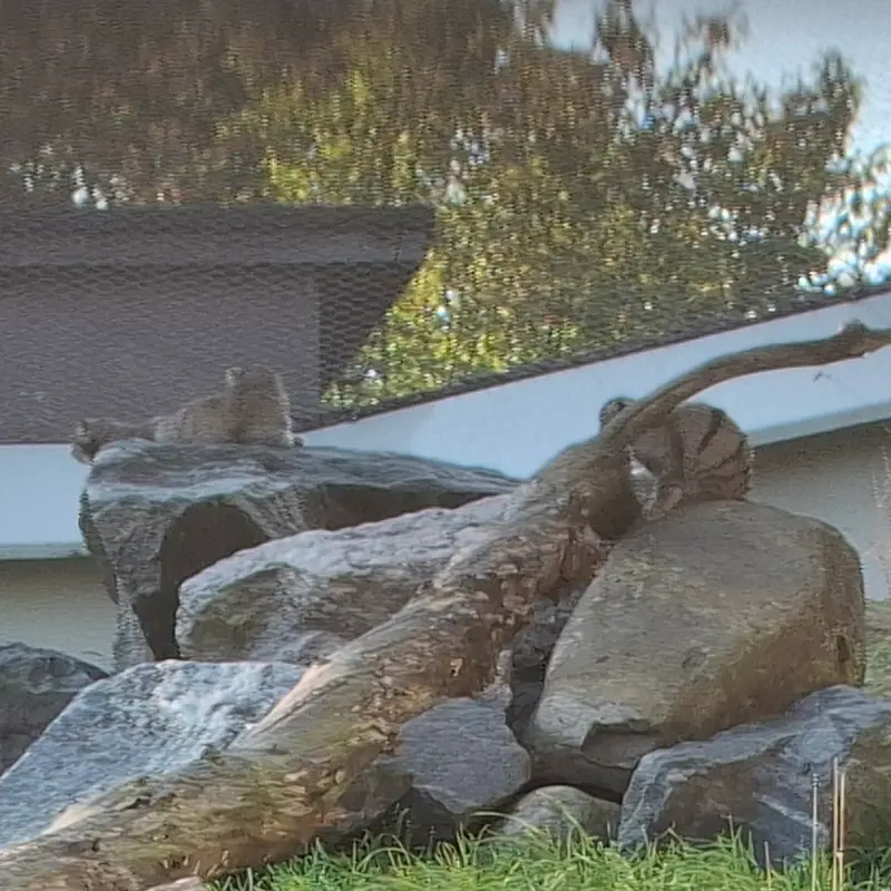 A photograph of Sten, Saga, and Saimi in Korkeasaari Zoo