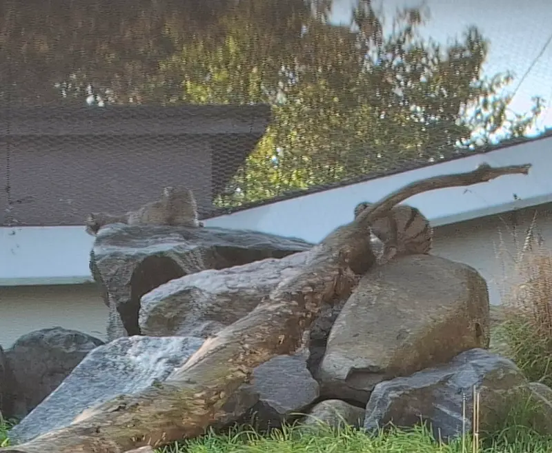 A photograph of Sten, Saga, and Saimi in Korkeasaari Zoo