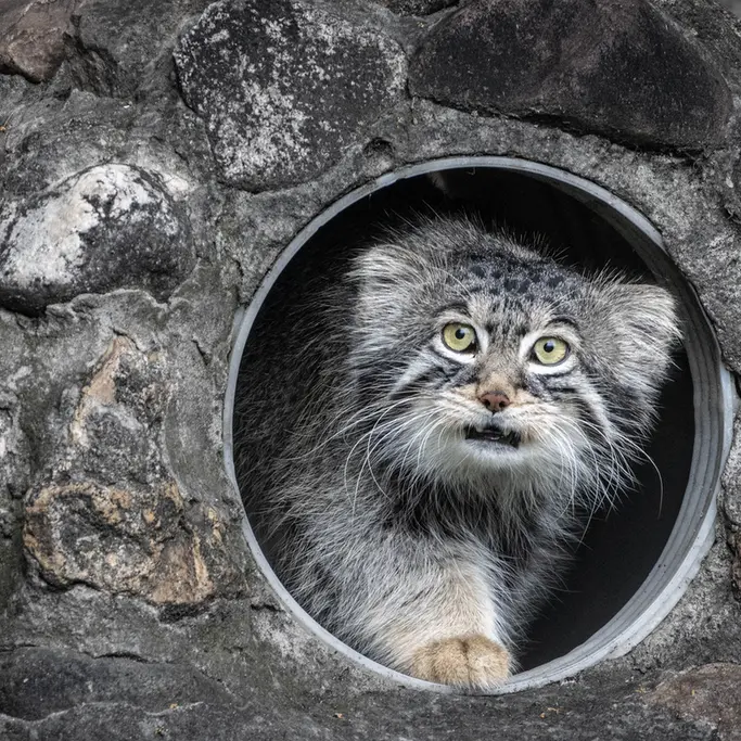 A photograph of Timofey in Moscow zoo