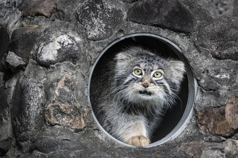 A photograph of Timofey in Moscow zoo