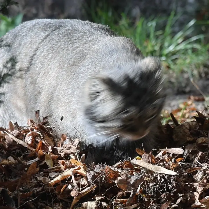 A photograph of Timofey in Moscow zoo