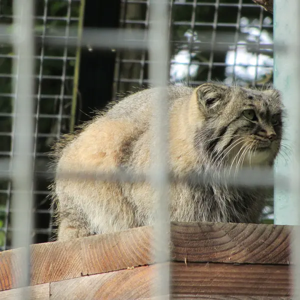 A photograph of Karl-Heinz in Saarbrücken Zoo