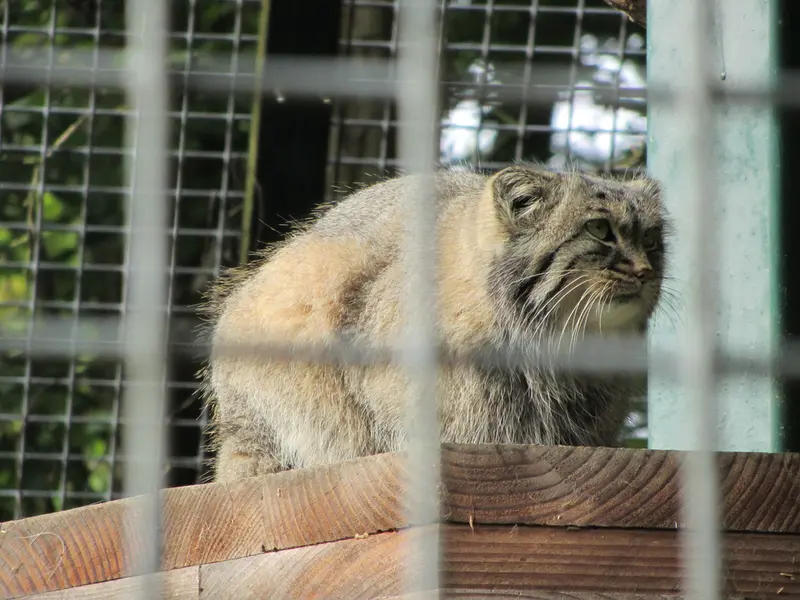 A photograph of Karl-Heinz in Saarbrücken Zoo