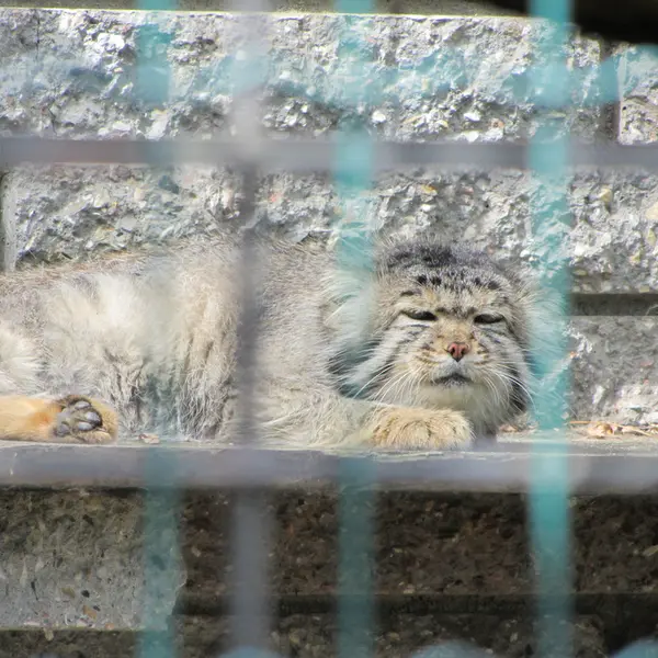 A photograph of Jonathan in Magdeburg Zoo