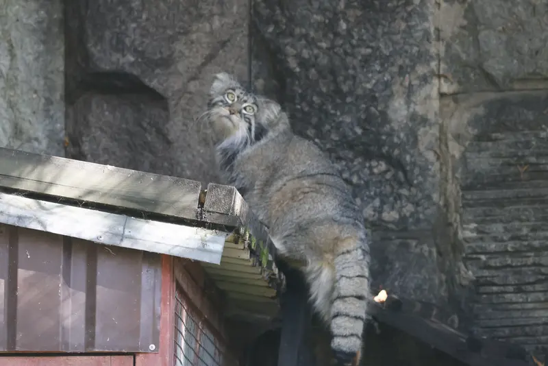 A photograph of Timofey in Moscow zoo
