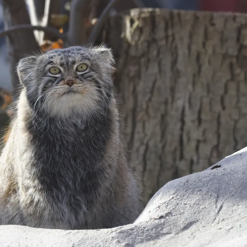 A photograph of Timofey in Moscow zoo