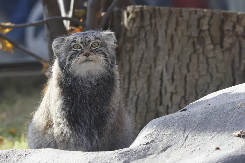 A photograph of Timofey in Moscow zoo