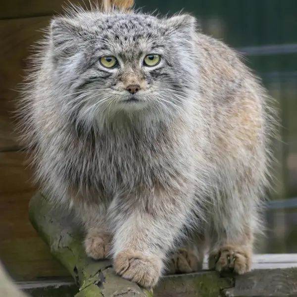 A photograph of Saran in Bio-Topia Dunkerque