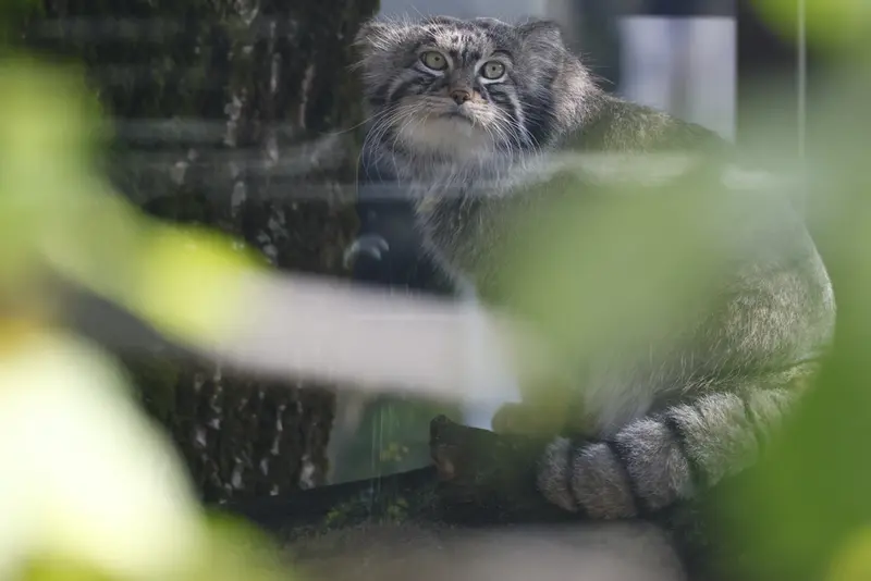 A photograph of Timofey in Moscow zoo