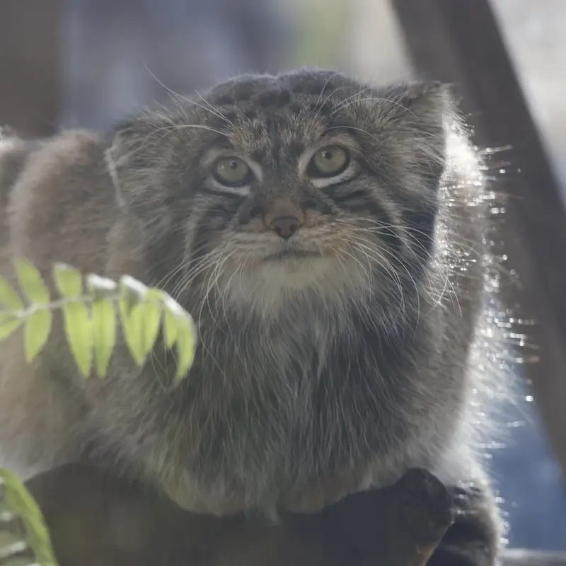 A photograph of Timofey in Moscow zoo