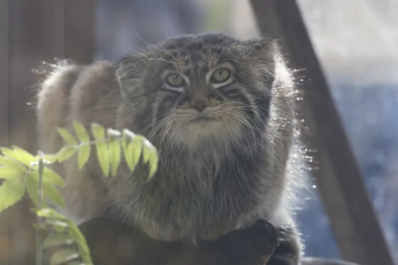 A photograph of Timofey in Moscow zoo