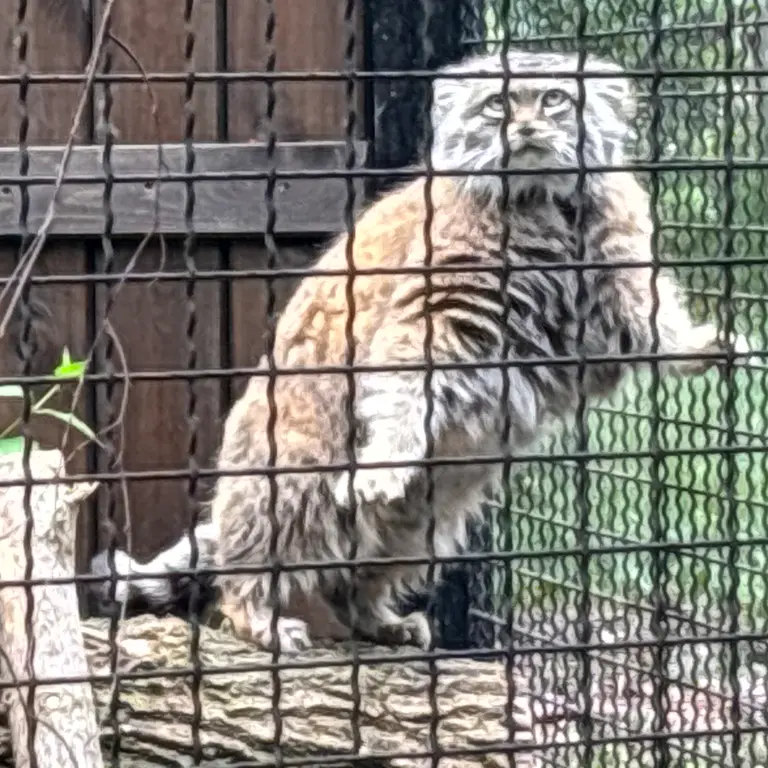 A photograph of Jessie in Warsaw Zoo