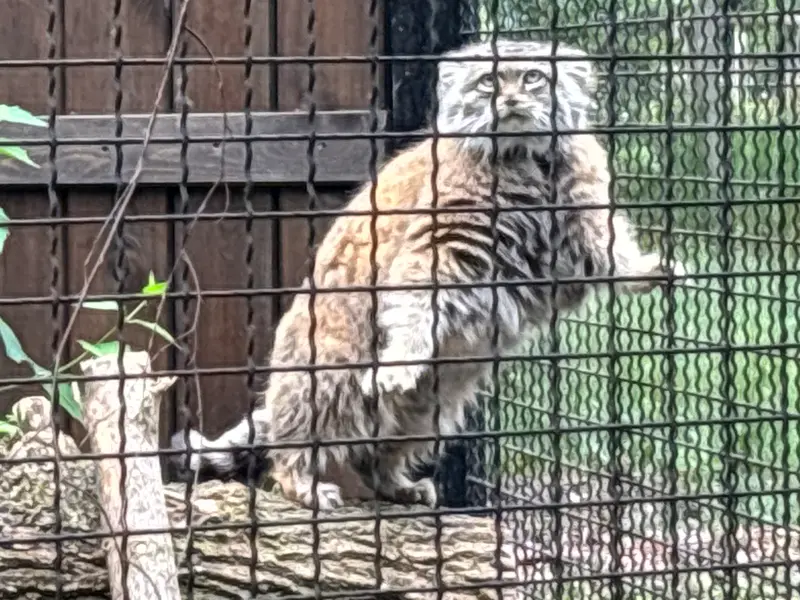 A photograph of Jessie in Warsaw Zoo