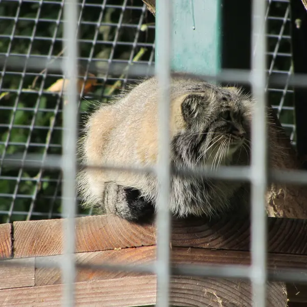 A photograph of Karl-Heinz in Saarbrücken Zoo