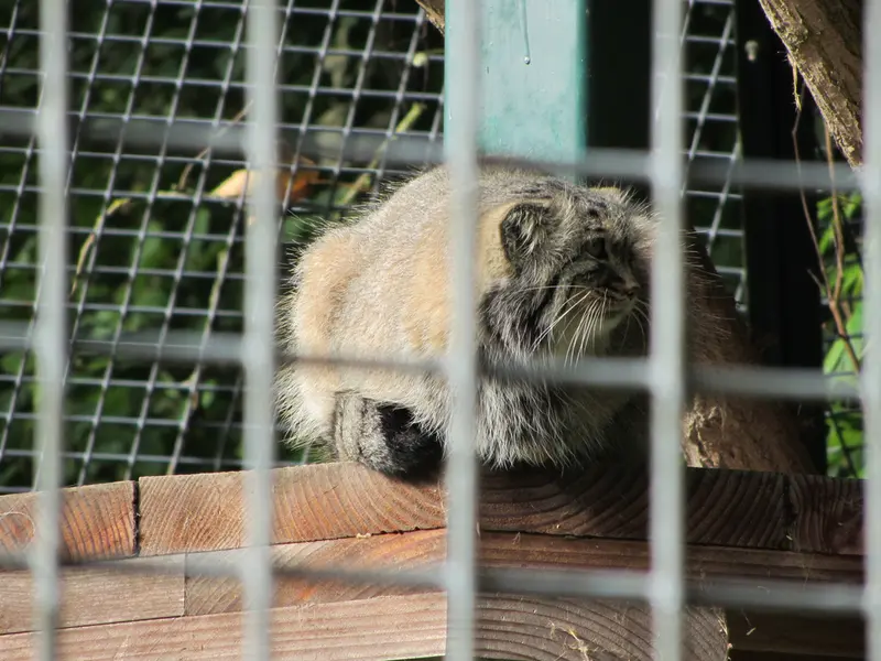 A photograph of Karl-Heinz in Saarbrücken Zoo