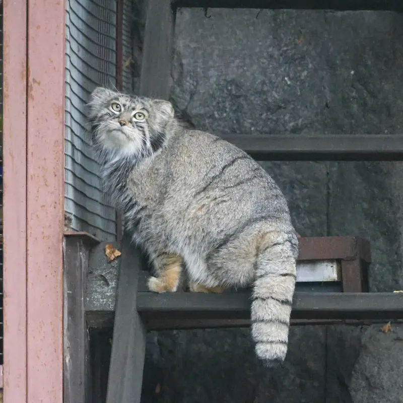 A photograph of Timofey in Moscow zoo