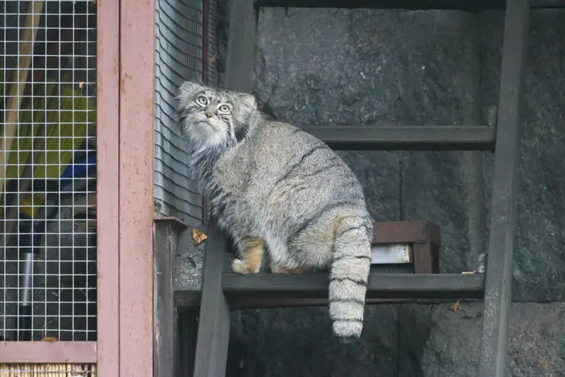 A photograph of Timofey in Moscow zoo