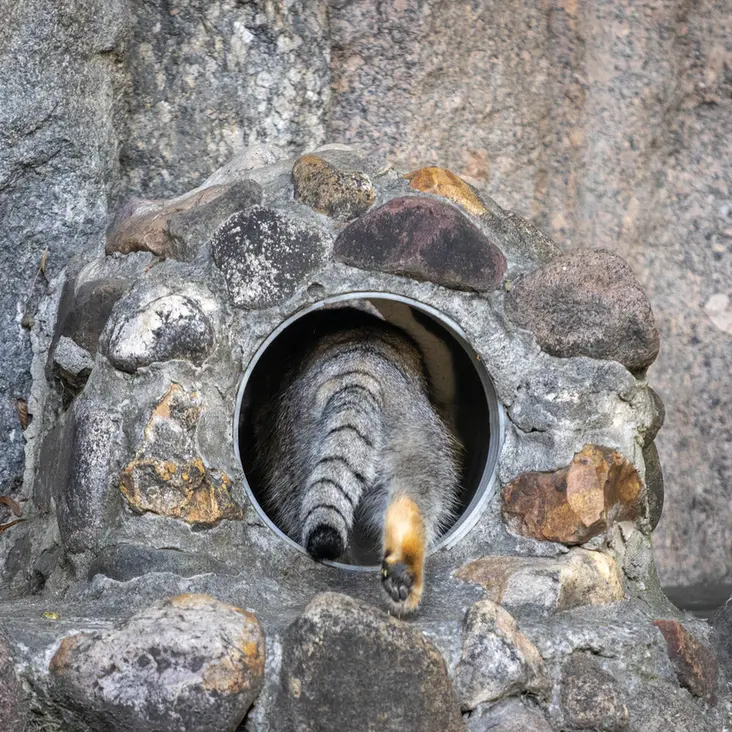 A photograph of Timofey in Moscow zoo
