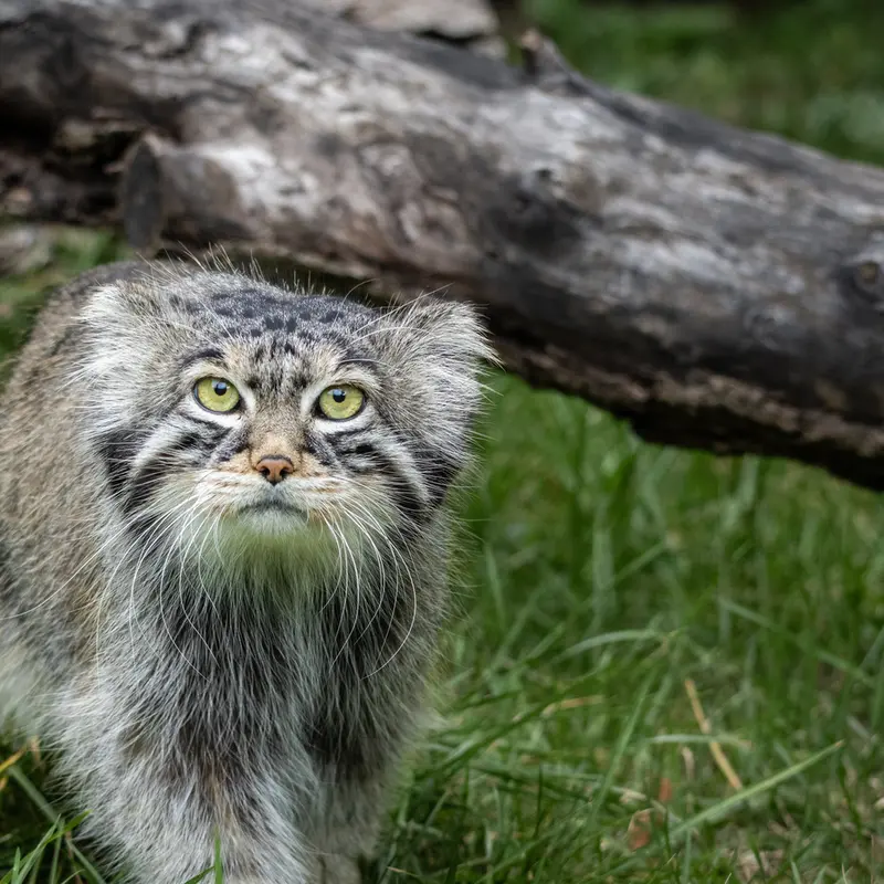 A photograph of Timofey in Moscow zoo
