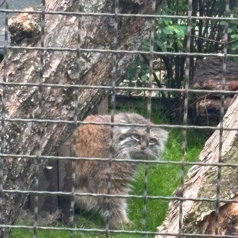 A photograph of Jessie in Warsaw Zoo