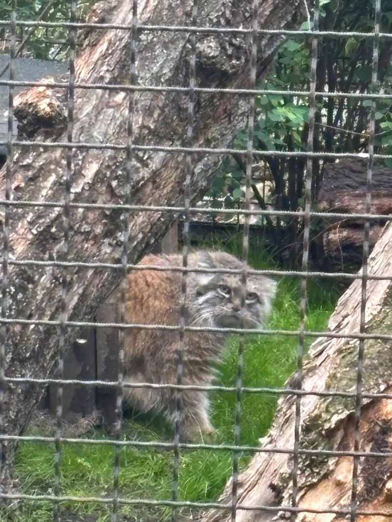 A photograph of Jessie in Warsaw Zoo