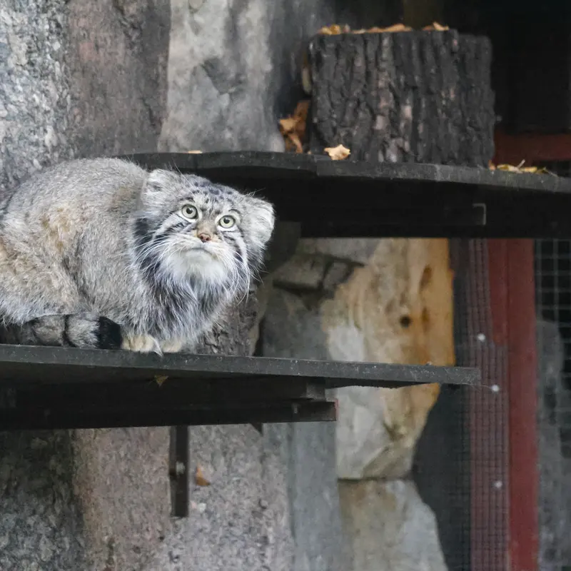 A photograph of Timofey in Moscow zoo