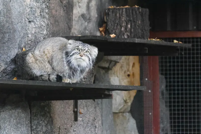 A photograph of Timofey in Moscow zoo