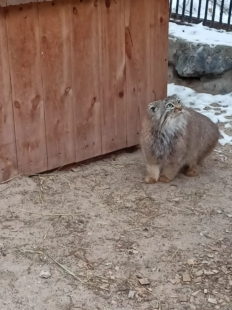 A photograph of Gabi in Novosibirsk Zoo