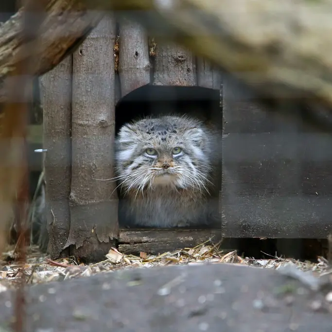 A photograph of Jessie in Warsaw Zoo