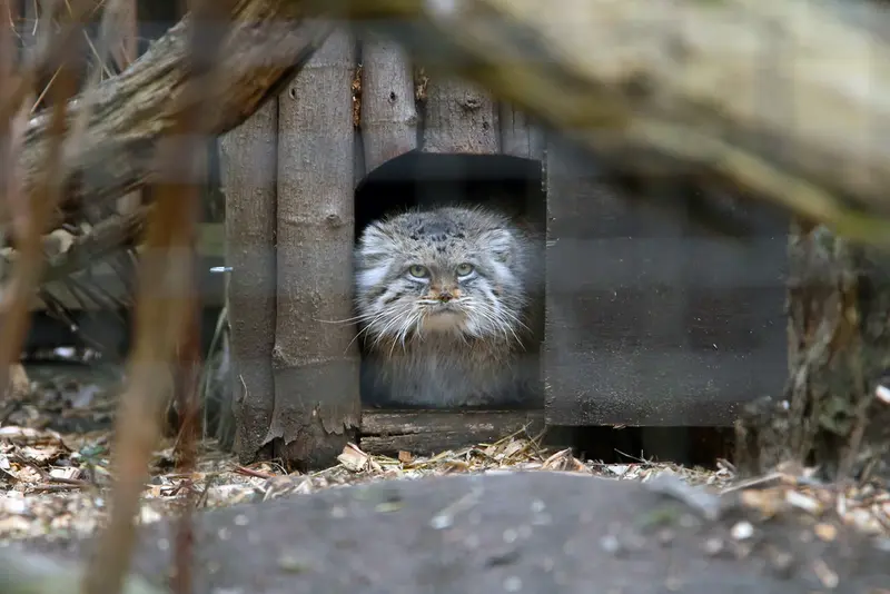 A photograph of Jessie in Warsaw Zoo