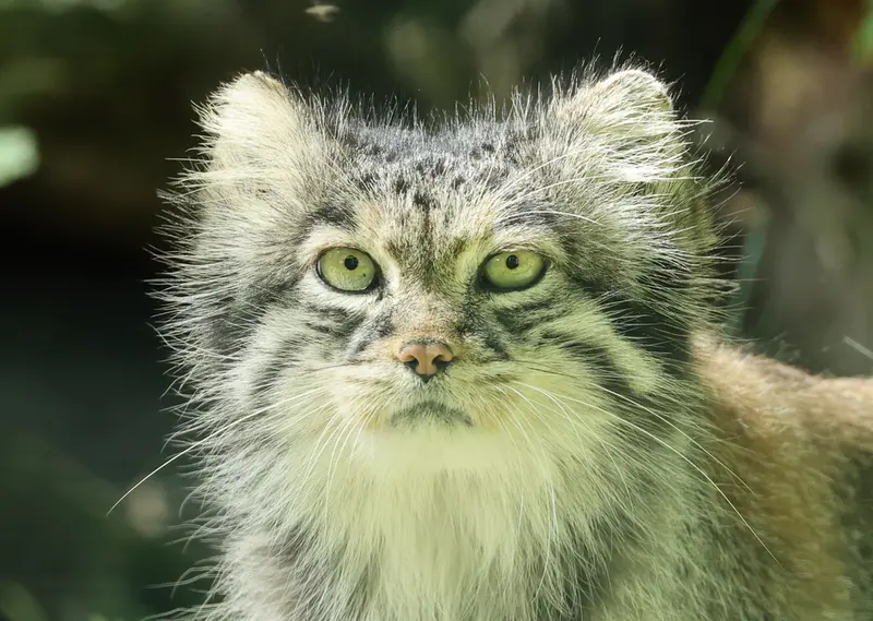 A photograph of Juran in Tierpark Berlin