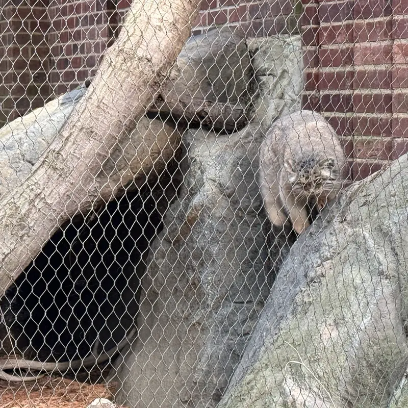 A photograph of Sarnai in Prospect Park Zoo