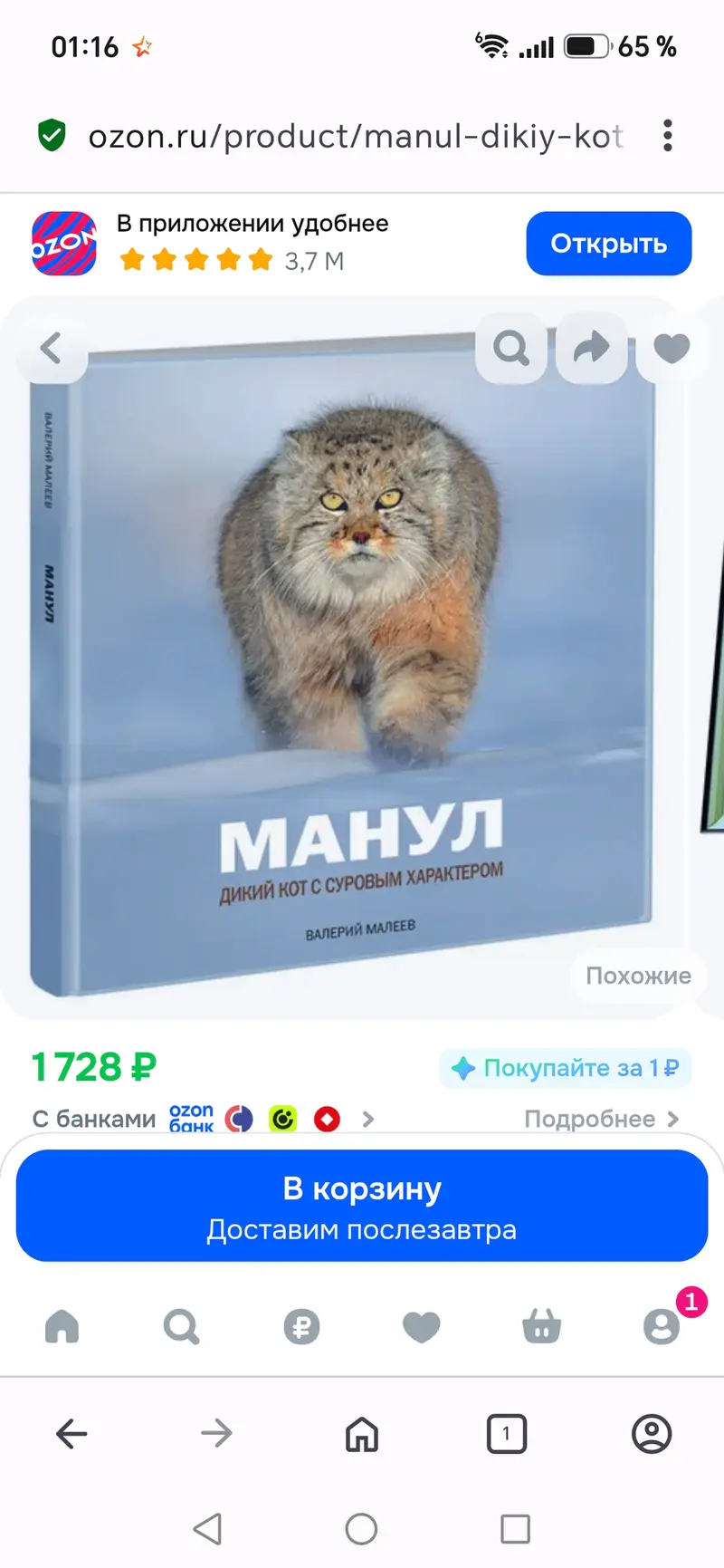 A photograph of a Pallas's cat