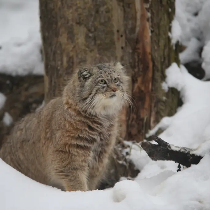 A photograph of Manuel in Gdansk Zoo