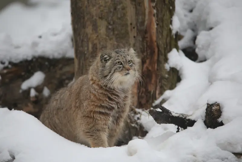 A photograph of Manuel in Gdansk Zoo