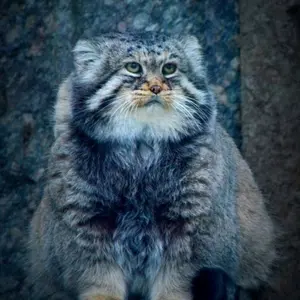 A photograph of Vadim in Moscow zoo