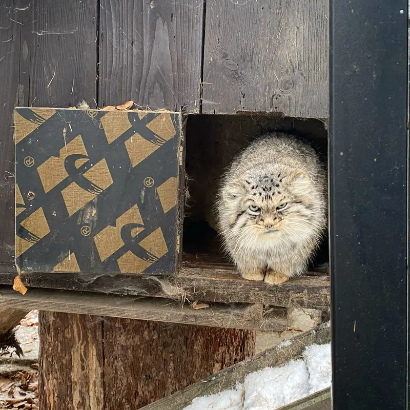 A photograph of Manuel in Kraków Zoo