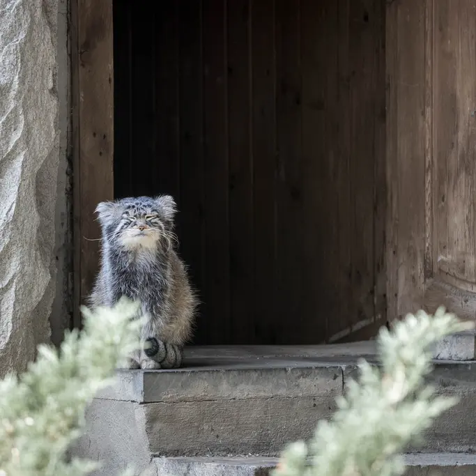 A photograph of Timofey in Moscow zoo