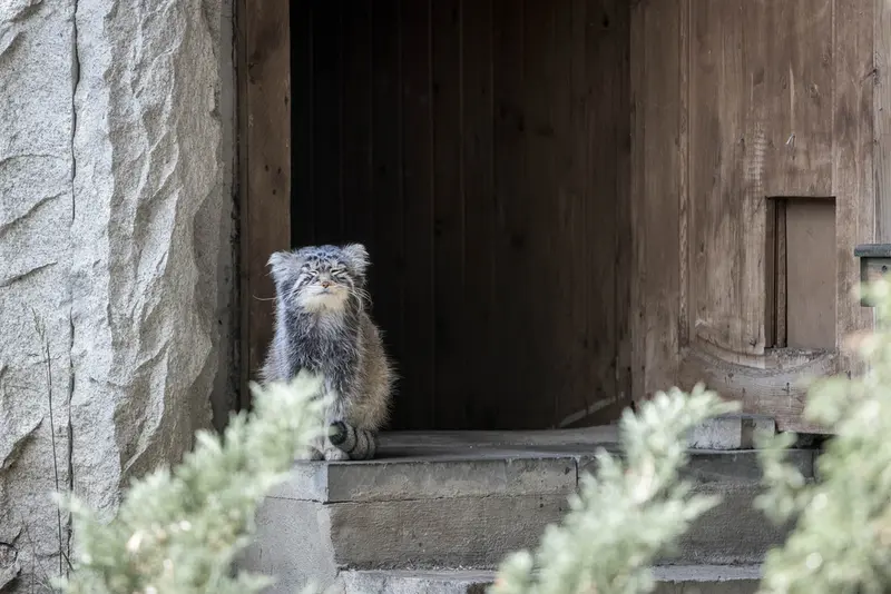 A photograph of Timofey in Moscow zoo