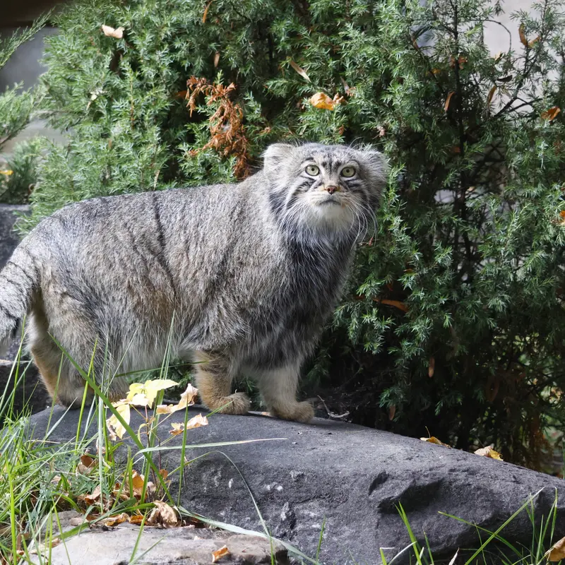 A photograph of Timofey in Moscow zoo