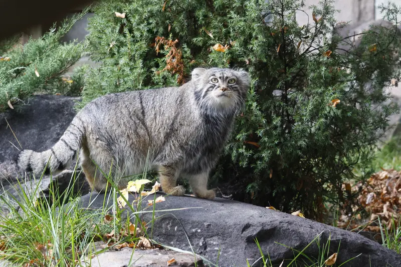 A photograph of Timofey in Moscow zoo