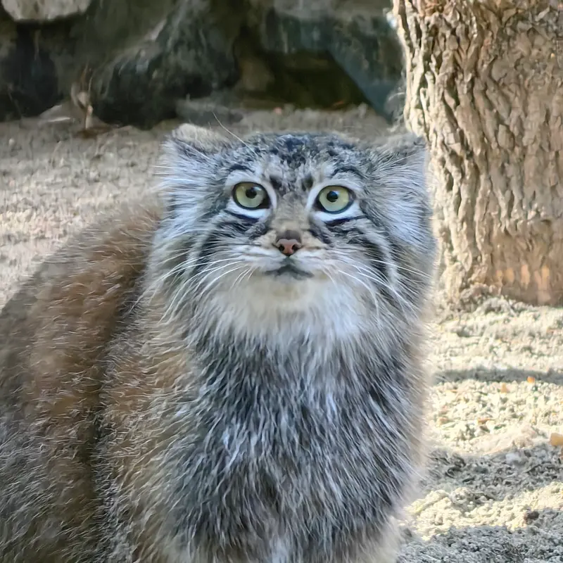 A photograph of Anya in Novosibirsk Zoo