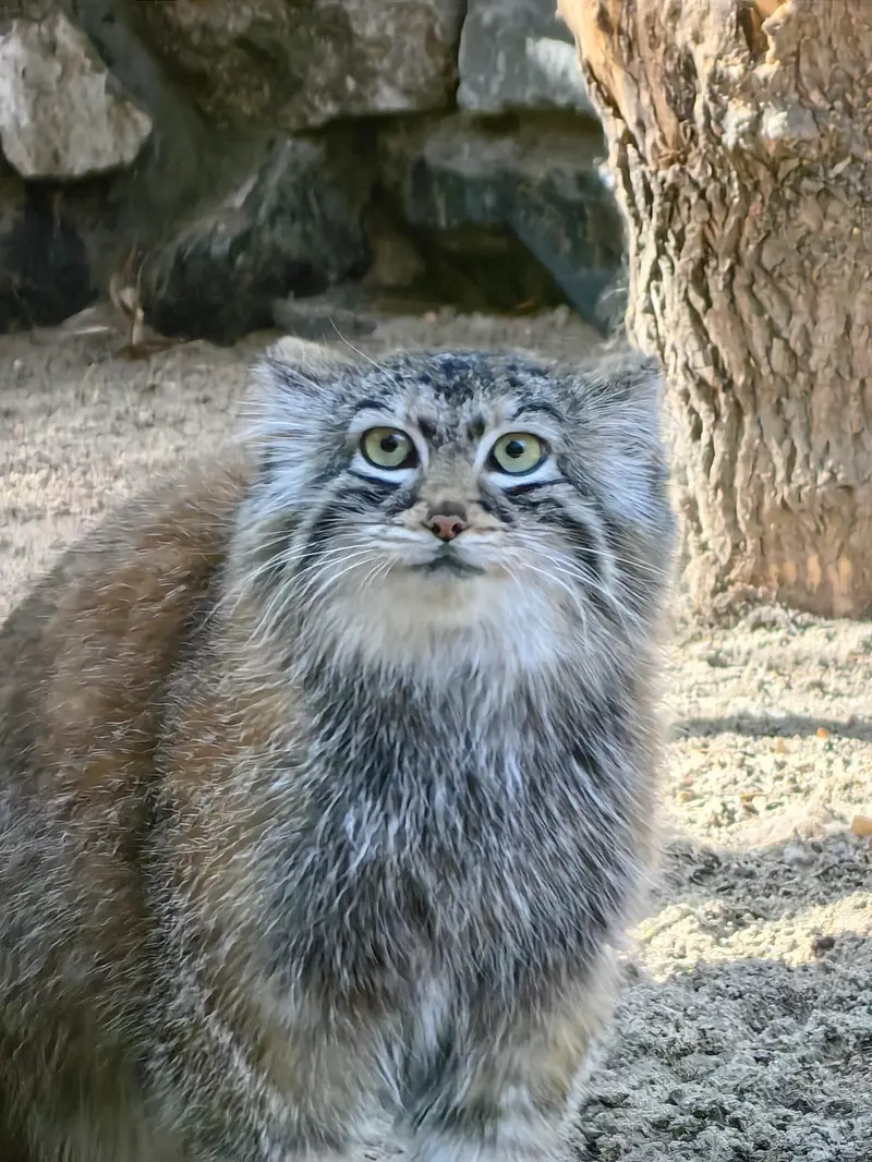 A photograph of Anya in Novosibirsk Zoo