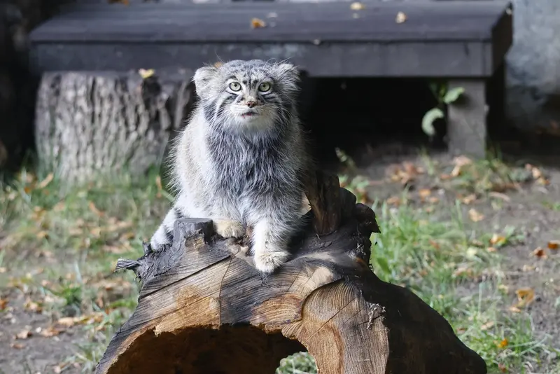 A photograph of Timofey in Moscow zoo