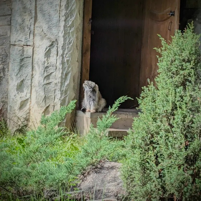 A photograph of Timofey in Moscow zoo