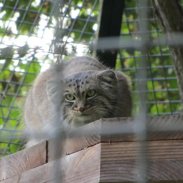 A photograph of Karl-Heinz in Saarbrücken Zoo