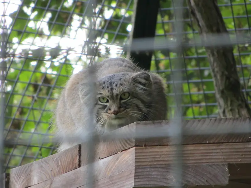 A photograph of Karl-Heinz in Saarbrücken Zoo