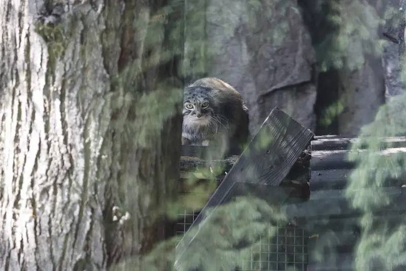 A photograph of Timofey in Moscow zoo