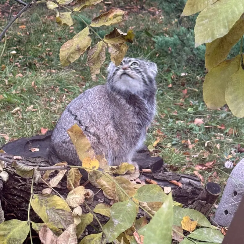 A photograph of Timofey in Moscow zoo