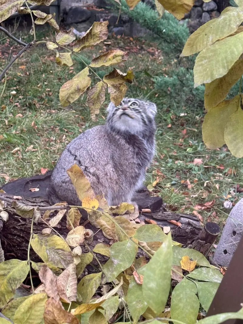 A photograph of Timofey in Moscow zoo